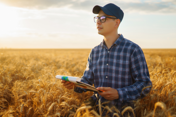 Farmer stands in his field looking at research papers