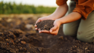 Photo of a woman kneeling and looking at the soil on her farm.