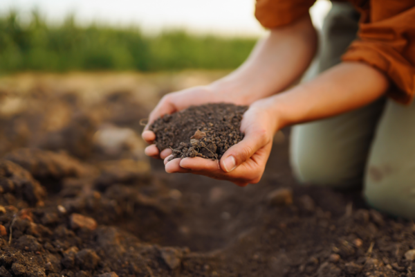 Photo of a woman kneeling and looking at the soil on her farm.