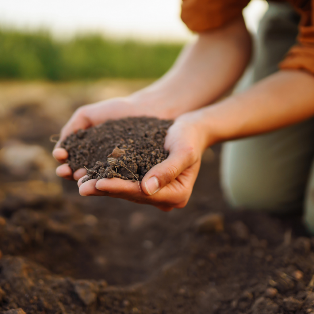 Photo of a woman kneeling and looking at the soil on her farm.